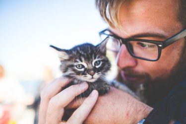 【これで安心】猫を飼うならまず揃えたい必需品+αを紹介します【初心者】