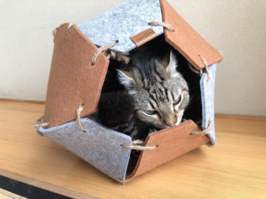 【Petneces猫ハウスレビュー】1人3役こなせるオシャレで優しい猫ハウス【実際の使用感】