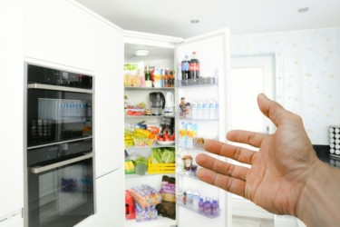 【恐怖】キャットフードを冷蔵庫で保管してはいけない理由【正しい保存方法】